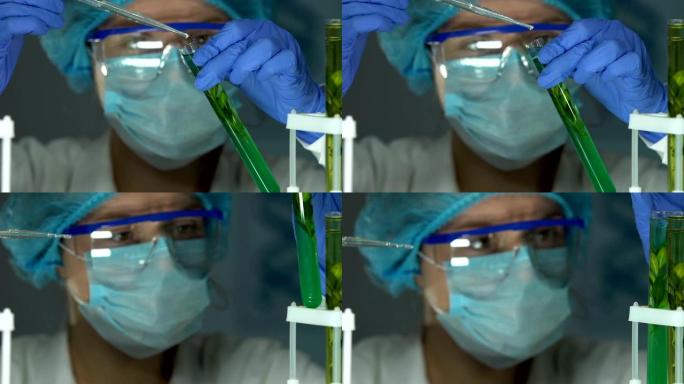 实验室研究人员用植物，有机美容将油脂试剂滴入试管中