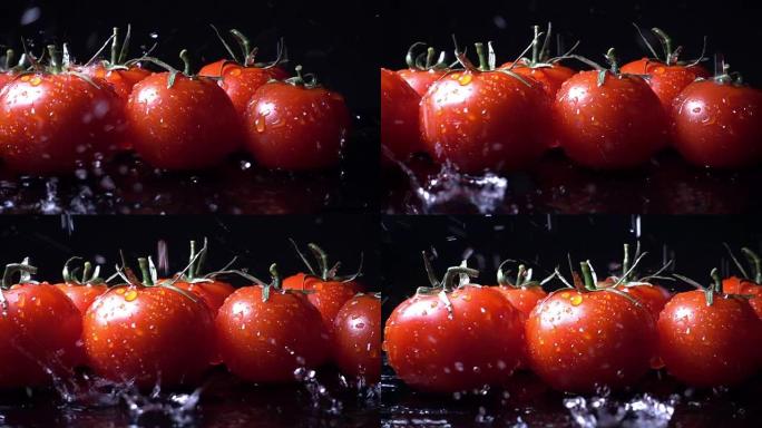 水溅到番茄上新鲜蔬菜西红柿宣传广告拍摄