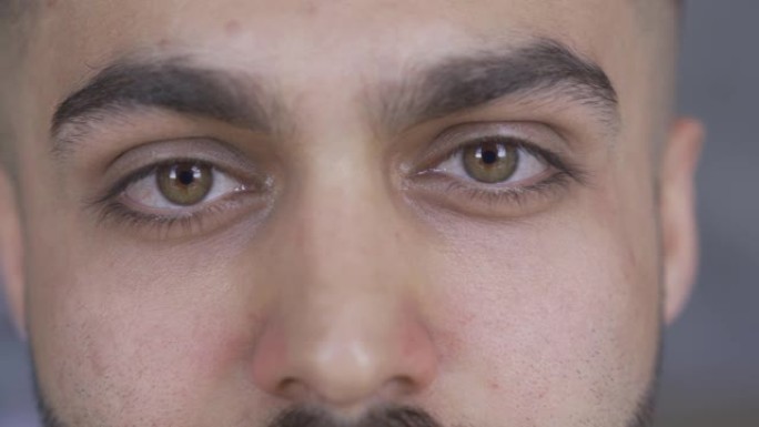 迷人的棕色眼睛男人的极端特写镜头，留着胡须和胡须看着相机