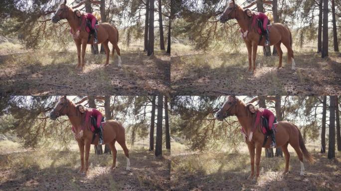 摄像机接近快乐的高加索女性马术，躺在马背上爱抚她的宠物。美丽的棕色马与年轻的黑发骑手在秋天的森林中休