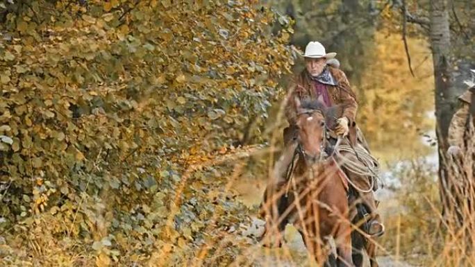 SLO MO TU牛仔在乡间小路上骑着奔腾的马