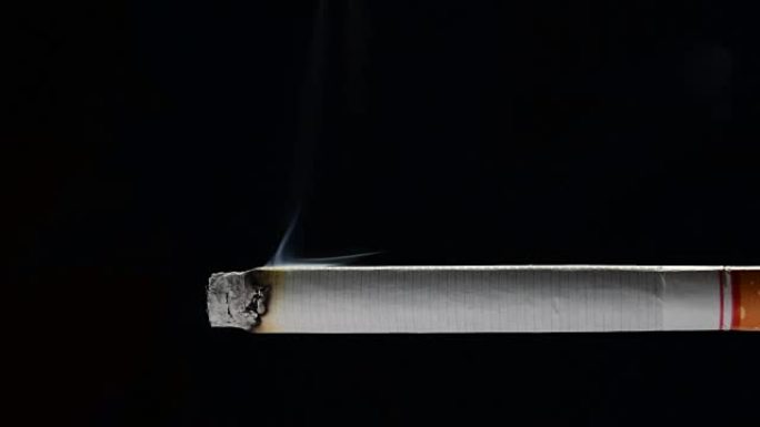 黑色背景上有烟的点燃和燃烧的香烟的正常速度镜头