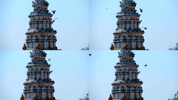 一大群鸽子飞过老朗吉寺，坐在它的穹顶上