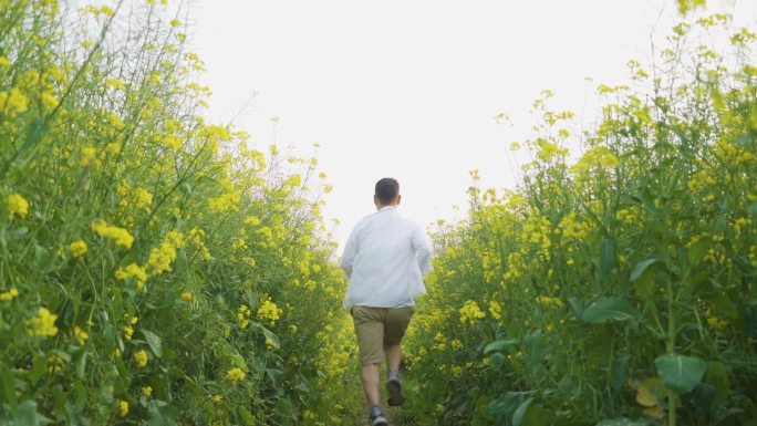 白衬衫男人田间奔跑背影追逐梦想亲近自然