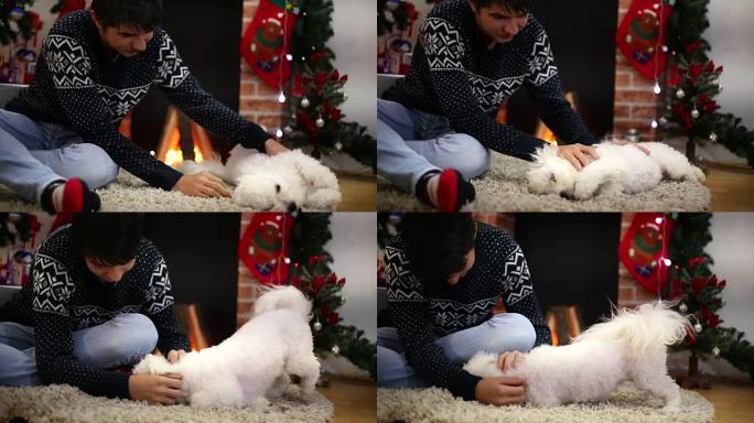 男孩在壁炉前玩狗圣诞节