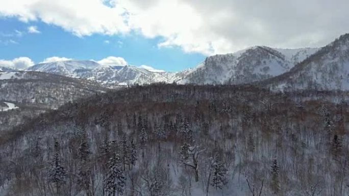 空中: 雪松森林航拍大雪下雪雪山冰山高山