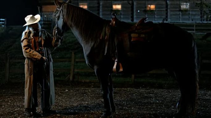 SLO MO DS女牛仔在晚上抚摸她的马