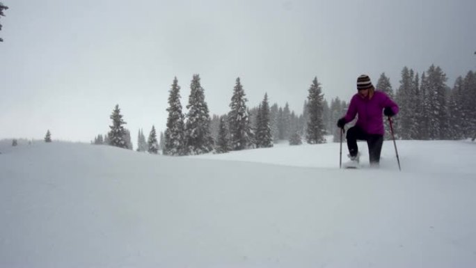 一名穿着冬装雪鞋的白人妇女，她的灰色狗在科罗拉多州西部灰色的冬季天空下跟随她，滑雪杖穿过松树中的雪域