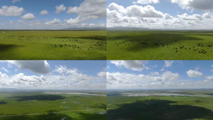 若尔高晴天草原航拍