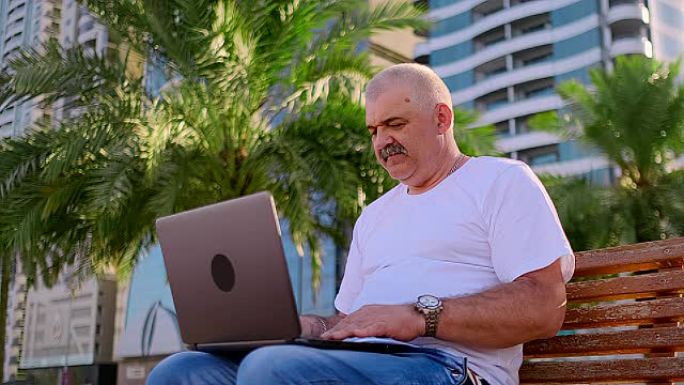 夏天，老人坐在公园里，棕榈树和笔记本电脑一起检查银行帐户