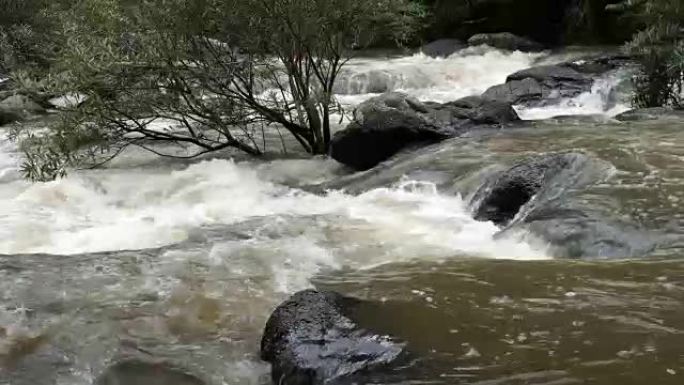 森林中的河流森林海氧吧瀑布溪流水