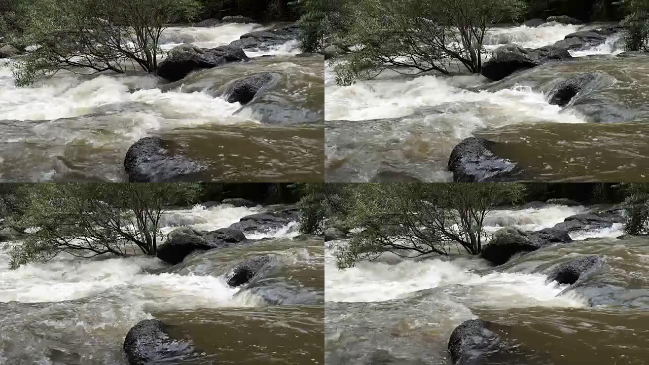 森林中的河流森林海氧吧瀑布溪流水