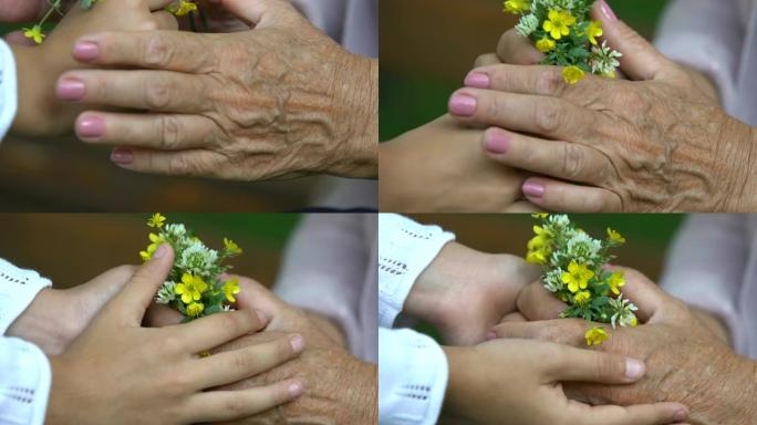 小女孩从草地上给祖母送花，手牵手，特写
