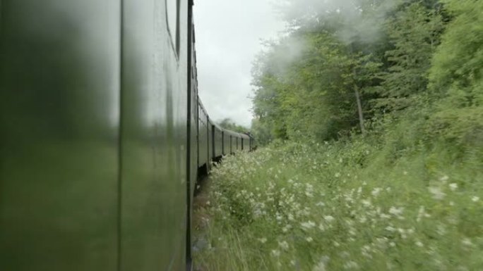 蒸汽火车穿过树林的侧面镜头