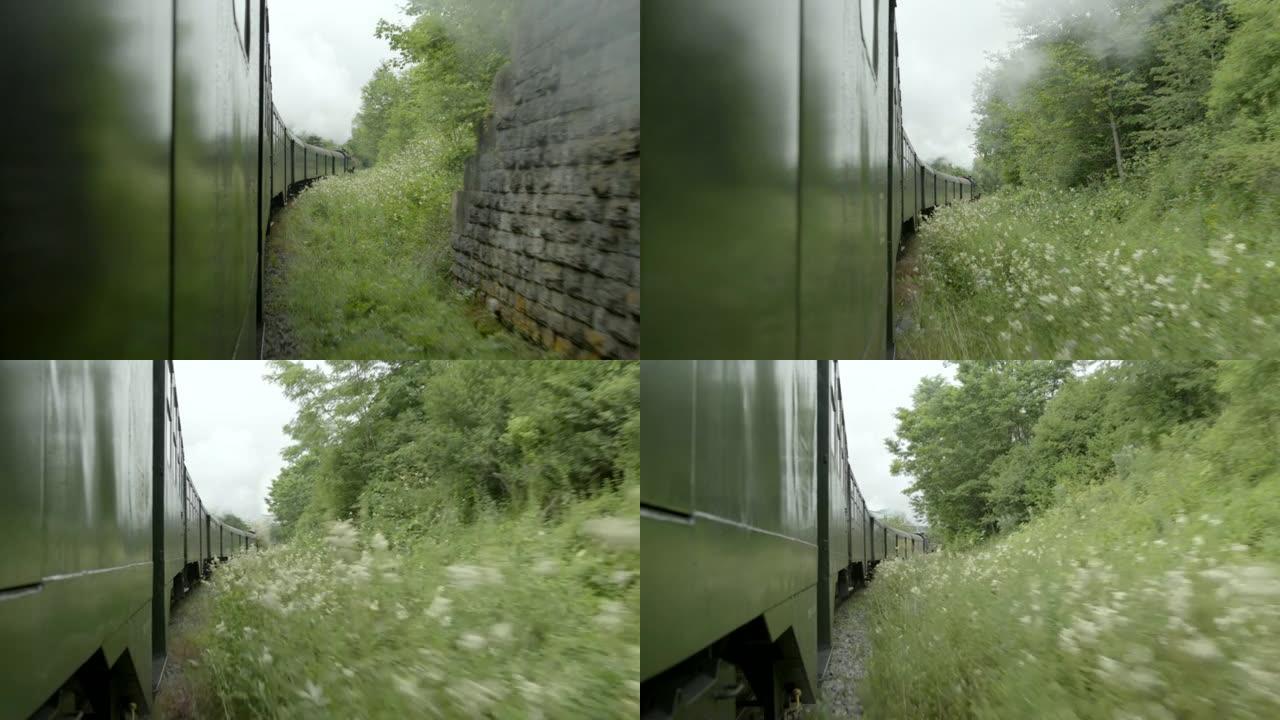 蒸汽火车穿过树林的侧面镜头