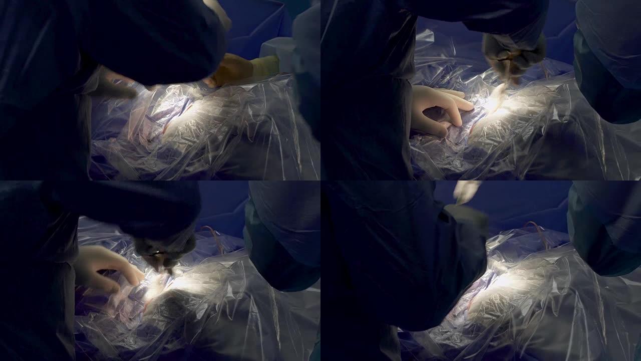 外科医生准备对切割地点进行手术和消毒