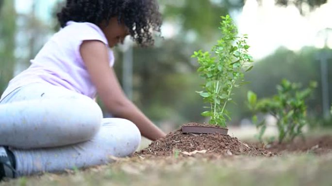 可爱的小女孩在黑土上种植幼树作为拯救世界的概念
