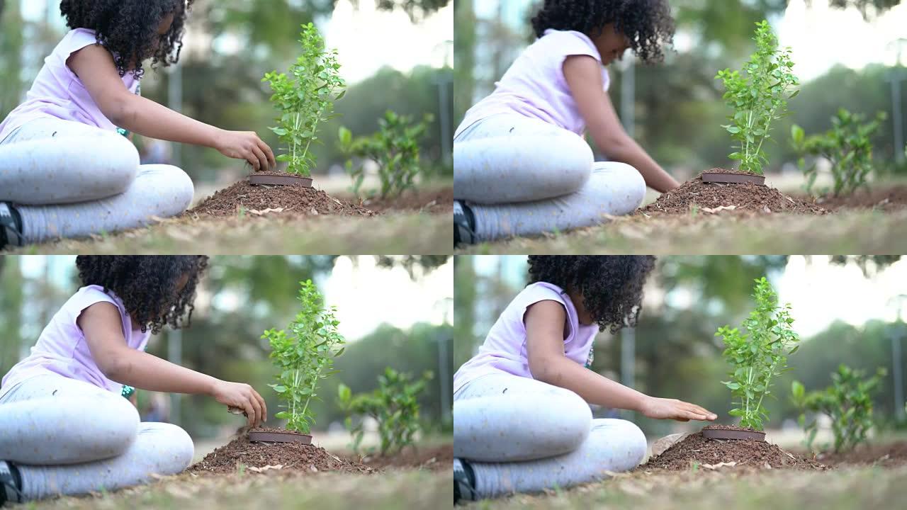 可爱的小女孩在黑土上种植幼树作为拯救世界的概念