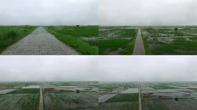 雨季的有机农场