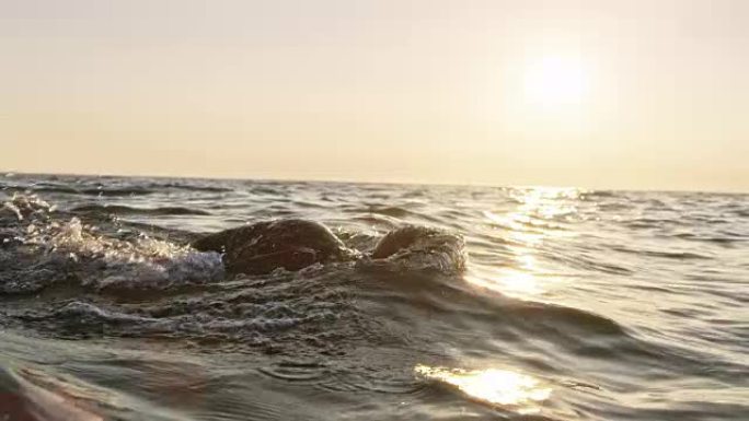 SLO MO TS男性公开水域游泳者在阳光下波涛汹涌的大海游泳