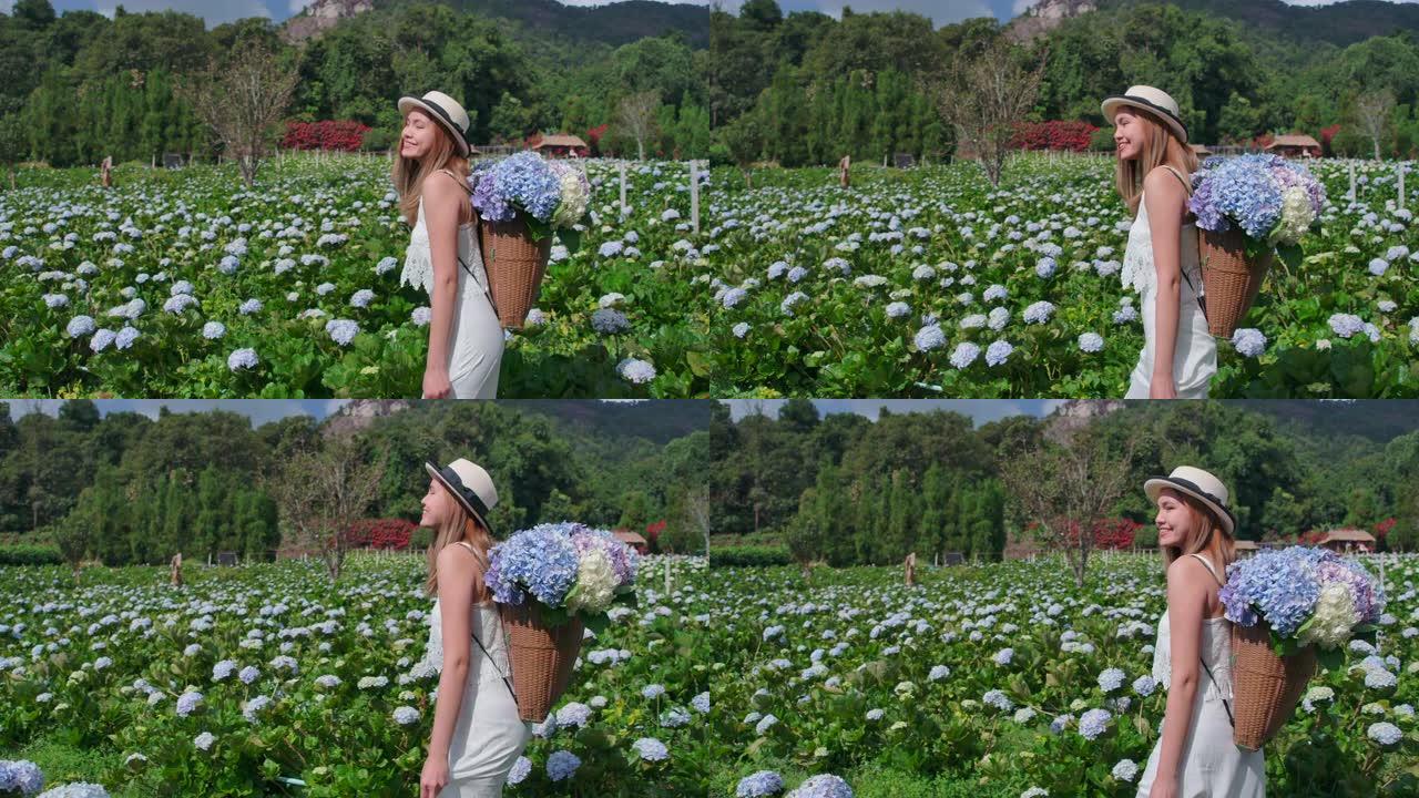 在泰国美女山上，游客去了绣球花场。新鲜空气，她很开心