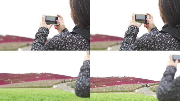 女人在日本日立海滨公园拍照