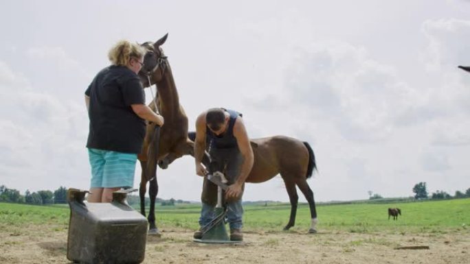 慢动作拍摄了一个三十多岁的雄性马蹄，用锉刀将棕色的马蹄放下，而一个二十多岁的金发女人则在部分阴天的农