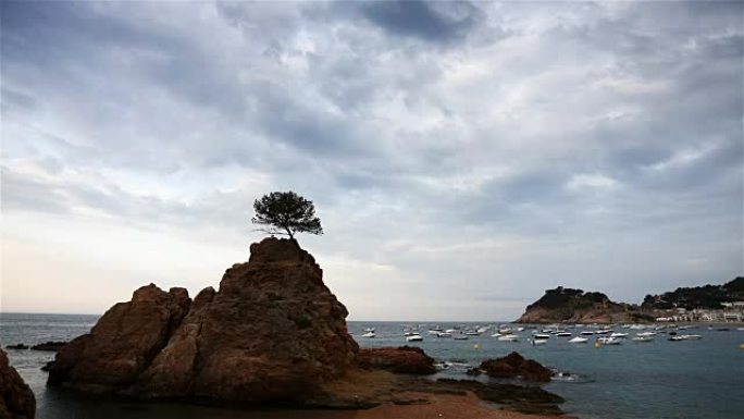 Lonely tree on a rock, Tossa de Mar,西班牙