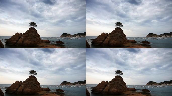 Lonely tree on a rock, Tossa de Mar,西班牙
