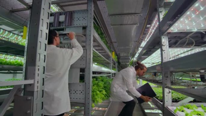 水培农场中一群穿着白大褂的人，带着笔记本电脑和平板电脑，将蔬菜的研究数据贡献给数据中心，用于植物灌溉
