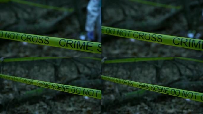 森林中黄色犯罪现场的特写，法医专家在现场工作