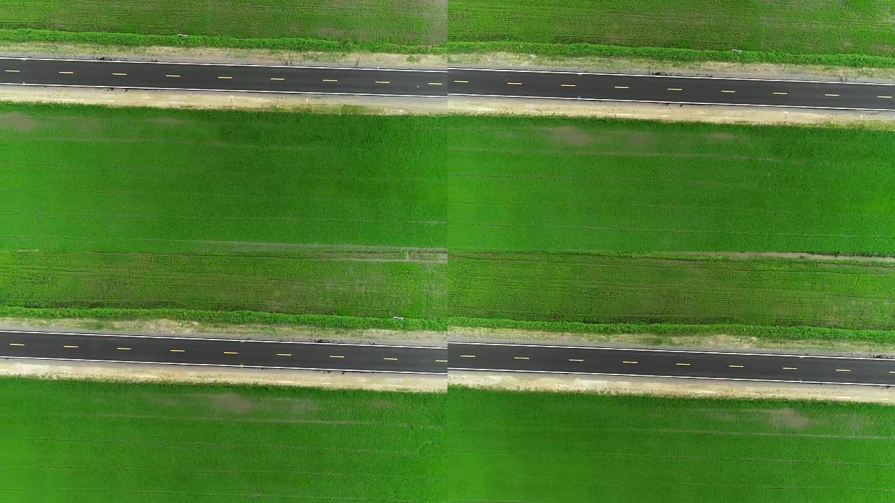 俯视图中的绿色乡村和柏油路的空中。