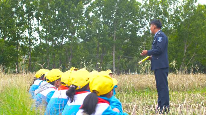 研究性学习探究式学习 研学旅行实践性学习