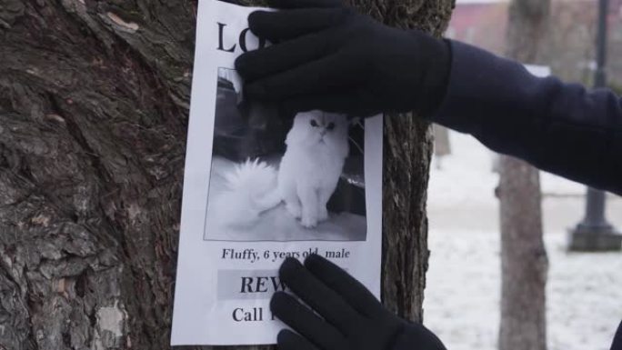 冬季手套中女性手的特写将失踪的猫广告挂在树上。寻找动物朋友的女性宠物主人。损失，麻烦，问题。