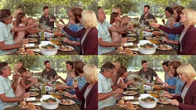 DS年轻人提议在野餐桌上敬酒