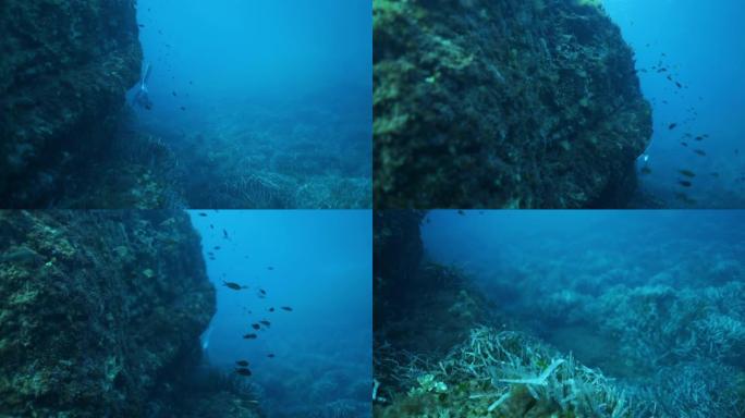 在水下慢动作拍摄的水肺潜水员在珊瑚附近带鱼
