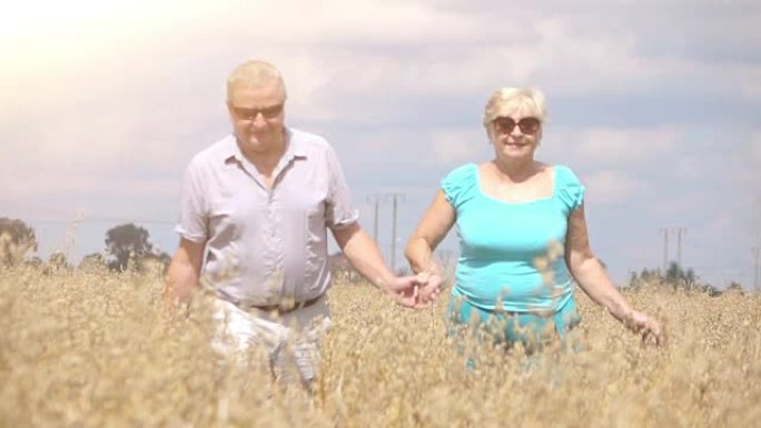 老年夫妇在麦田散步的两个视频-慢动作