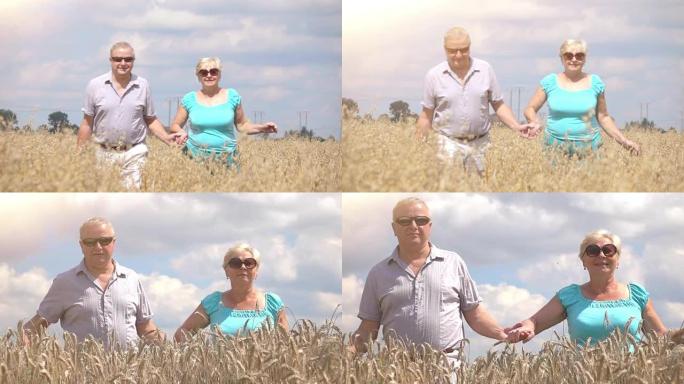 老年夫妇在麦田散步的两个视频-慢动作