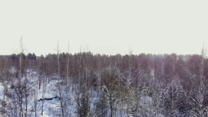 汽车在白雪覆盖的森林中经路行驶。镜头。早晨的阳光。鸟瞰图。鸟瞰白雪皑皑的森林，高松高松，冬天有车的道