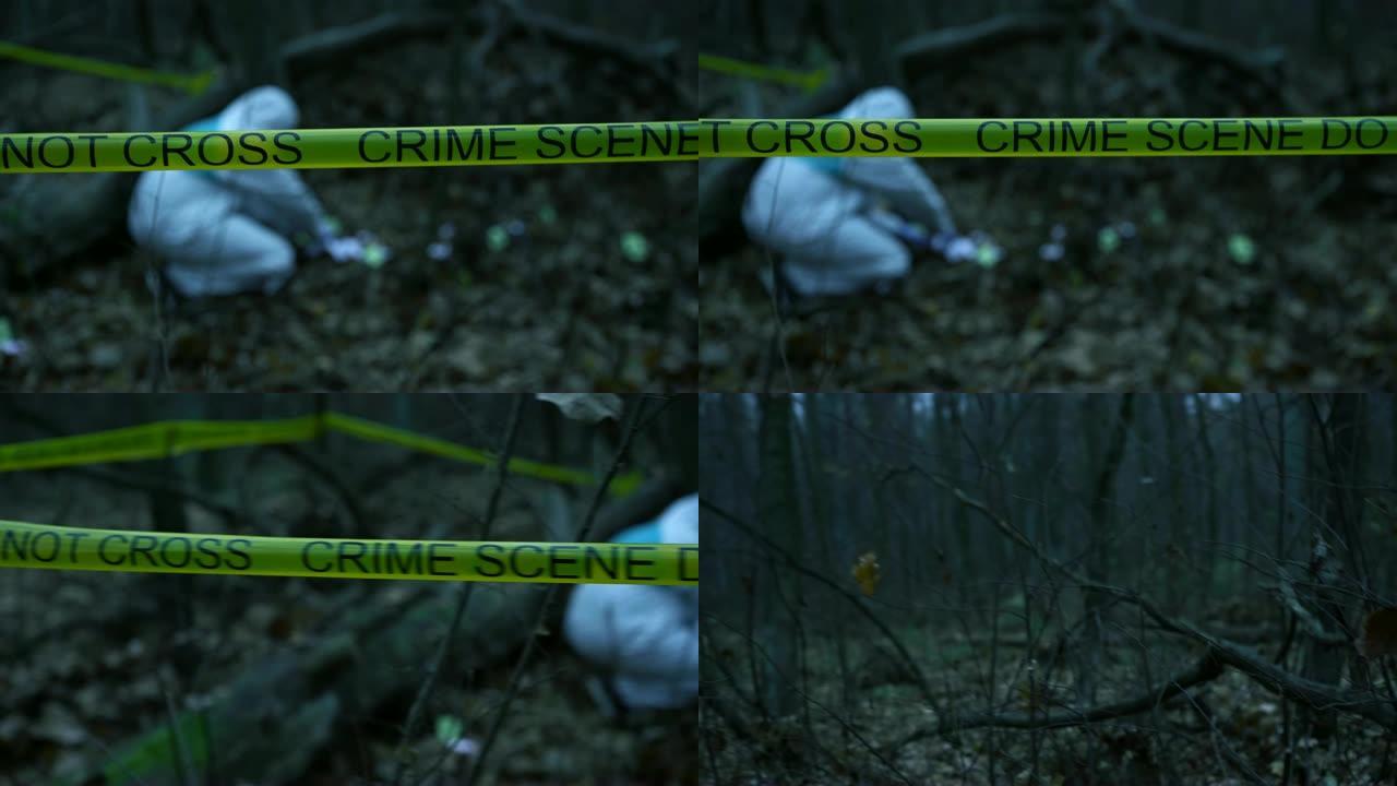 森林里的黄色犯罪现场胶带，法医在现场收集证据