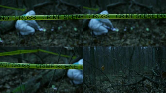 森林里的黄色犯罪现场胶带，法医在现场收集证据
