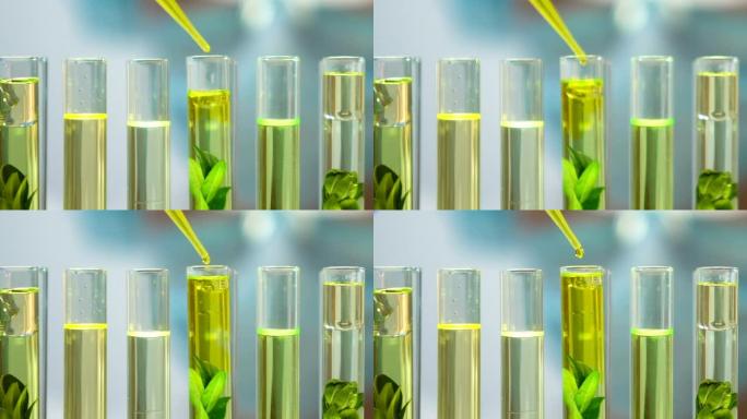 生物学家在试管中向植物中添加黄色液体，人类对环境的影响