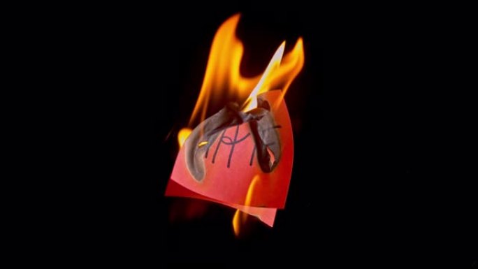 SLO MO LD红色纸上刻有 “仇恨” 字样着火