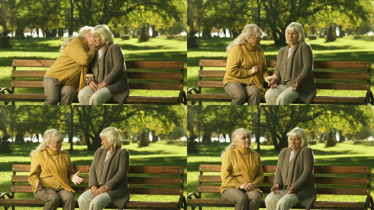 老太太闲聊他们的朋友，坐在公园的长凳上，黄金岁月