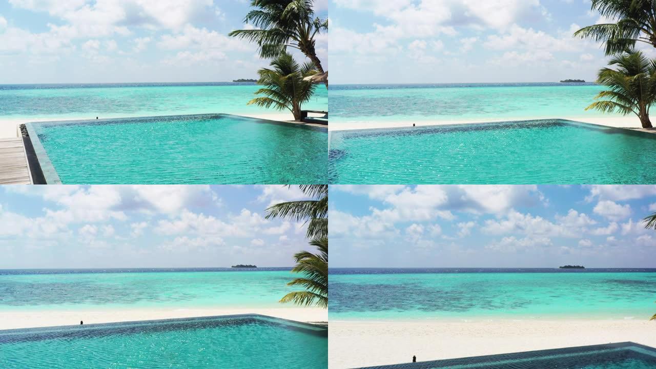 马尔代夫有棕榈树的无边泳池