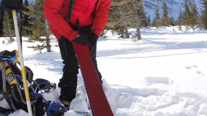 在山区环境中，女滑雪登山者将攀岩皮放在滑雪板上