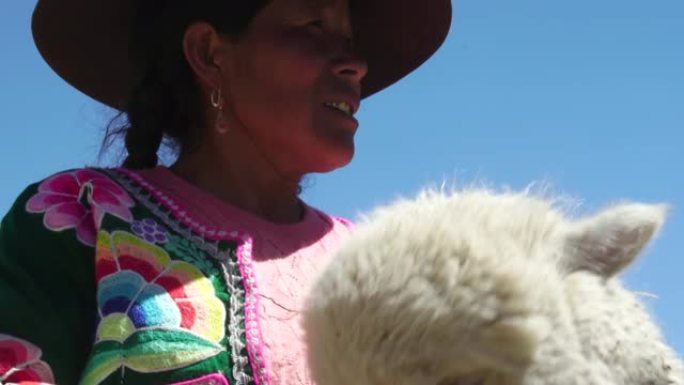 秘鲁女人带着可爱的羊驼