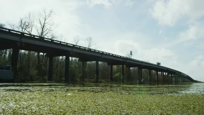 布劳克斯桥 (10号州际公路)，萨尔维尼亚漂浮在路易斯安那州南部的Atchafalaya河流域沼泽中