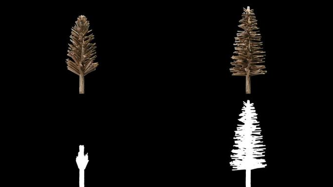 微型程式化枞树生长，亮度哑光