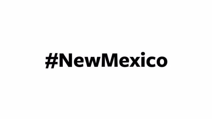 一个人在他们的电脑屏幕上输入 “# NewMexico”
